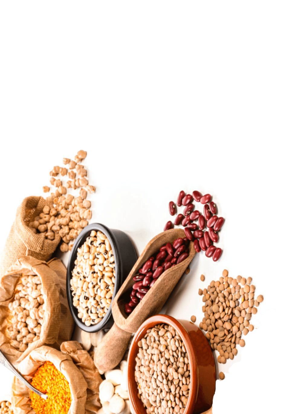 Variety of pulses, legumes and grains in bowls and sacks